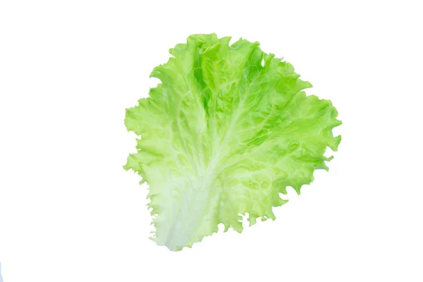 沙拉叶。在白色背景上隔离的 Lettuce，带剪切 p — 图库照片