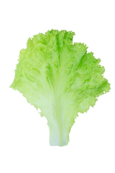 Salade blad. Sla geïsoleerd op witte achtergrond met knippen p — Stockfoto