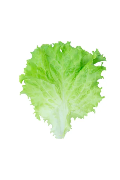 Salátový list. Hlávkový salát izolovaný na bílém pozadí s ořezovou p — Stock fotografie