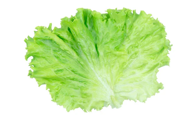 Salatblatt vorhanden. Salat isoliert auf weißem Hintergrund mit Clipping p — Stockfoto