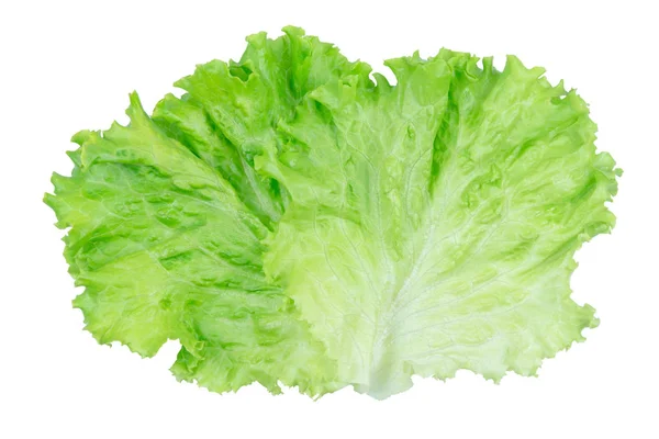 Салатний лист. Листя салату ізольовані на білому тлі з відсічним п — стокове фото