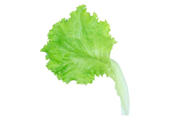 Salad leaf. Lettuce isolated on white background with clipping p — Stock Photo, Image