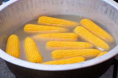 tencerede kaynayan Mısır