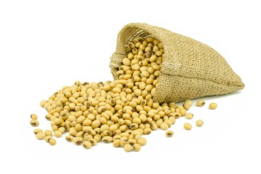 Soya fasulyesi beyaz arkaplanda izole.