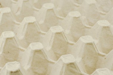 Kağıt yumurta tepsi arka plan