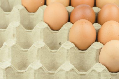 Kağıt yumurta tepsi arka plan