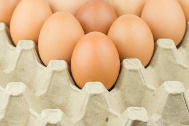 Kağıt yumurta tepsi arka plan