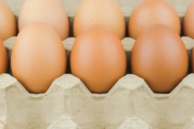 Kağıt yumurta tepsi arka plan