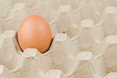 Kağıt yumurta tepsi arka plan