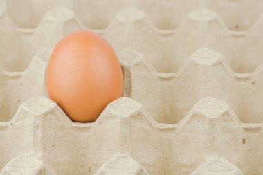 Kağıt yumurta tepsi arka plan