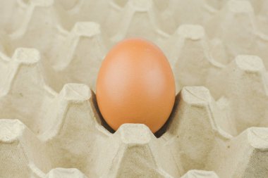 Kağıt yumurta tepsi arka plan