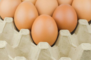 Kağıt yumurta tepsi arka plan