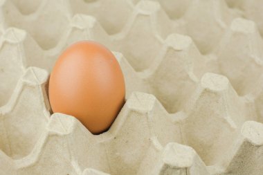 Kağıt yumurta tepsi arka plan