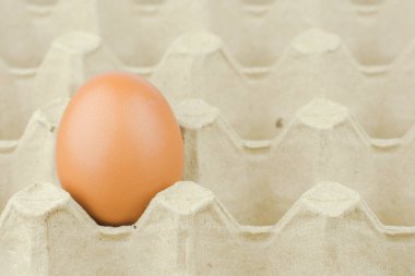 Kağıt yumurta tepsi arka plan