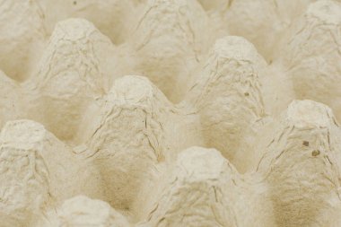 Kağıt yumurta tepsi arka plan