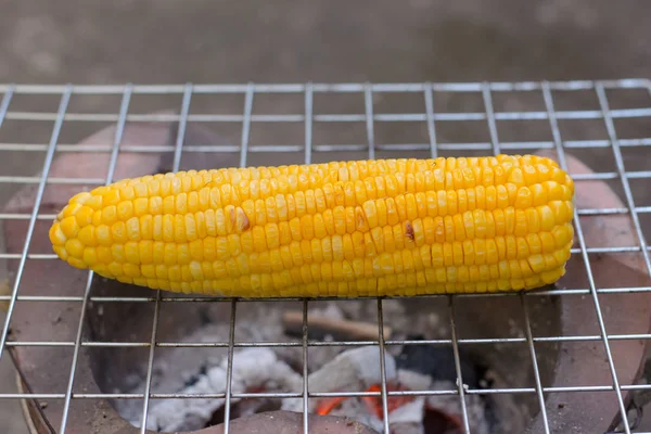 Cooking several fresh yellow brown golden corn cobs