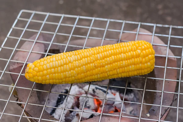 Cooking several fresh yellow brown golden corn cobs