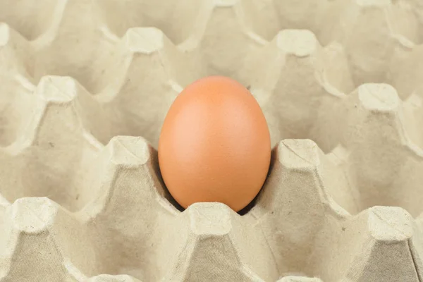 Carta Egg Vassoio Sfondo — Foto Stock