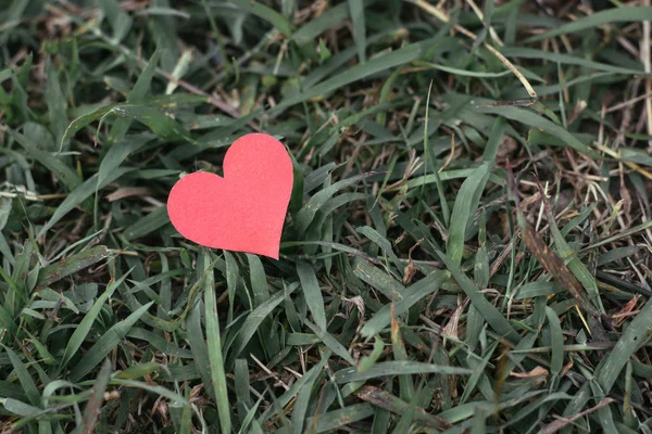 ホリデー カード 赤い紙のハートにある緑の芝生の上 — ストック写真