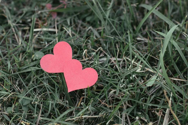 Tarjeta Vacaciones Corazón Papel Rojo Encuentra Una Hierba Verde — Foto de Stock