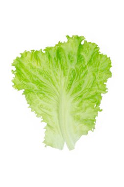 Salata yaprağı. Beyaz arkaplanda marul izole.