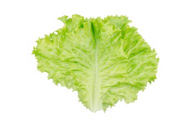 Salata yaprağı. Beyaz arkaplanda marul izole.