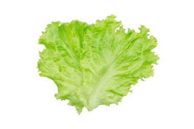 Salata yaprağı. Beyaz arkaplanda marul izole.