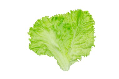 Salata yaprağı. Beyaz arkaplanda marul izole.