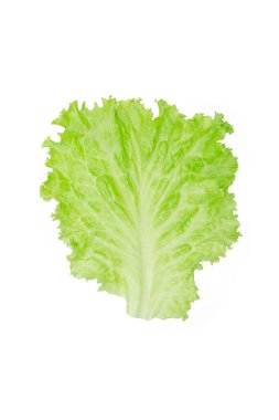Salata yaprağı. Beyaz arkaplanda marul izole.