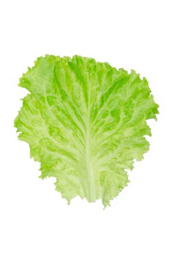 Salata yaprağı. Beyaz arkaplanda marul izole.