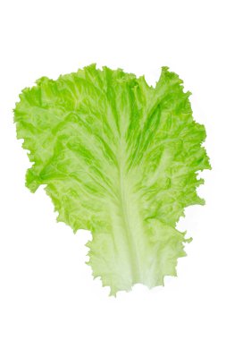 Salata yaprağı. Beyaz arkaplanda marul izole.