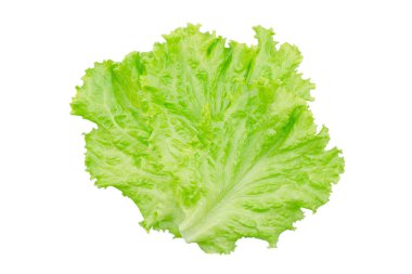 Salata yaprağı. Beyaz arkaplanda marul izole.