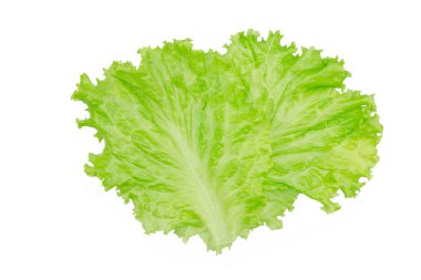 Salata yaprağı. Beyaz arkaplanda marul izole.