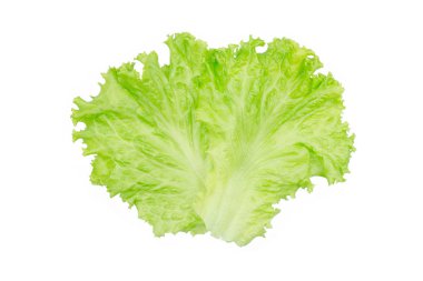 Salata yaprağı. Beyaz arkaplanda marul izole.
