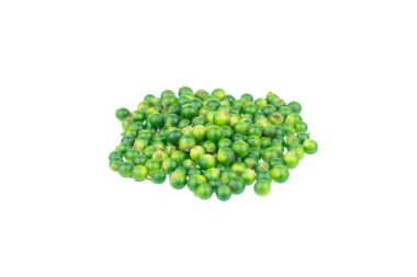 Taze gaydacı nigrum beyaz bir arka planda izole