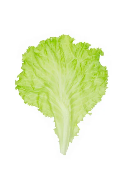 Frunză Salată Salata Verde Izolată Fundal Alb — Fotografie, imagine de stoc
