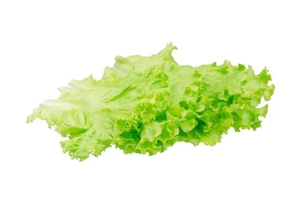 Feuille Salade Laitue Isolée Sur Fond Blanc — Photo
