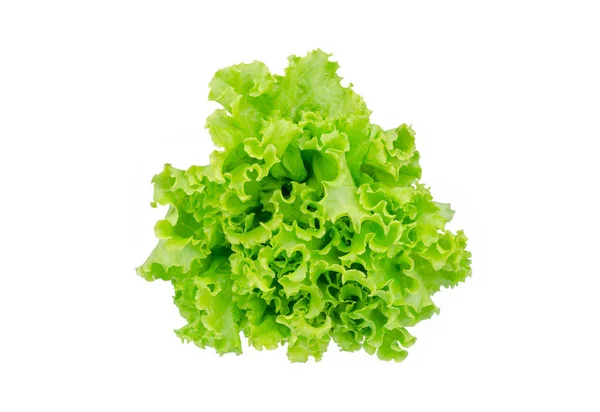 Salata Yaprağı Beyaz Arkaplanda Marul Izole — Stok fotoğraf