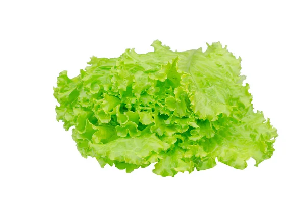 Salad Leaf Lettuce Isolated White Background — Stock Photo, Image