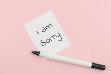 Kağıda yazı yazdığım için özür dilerim.