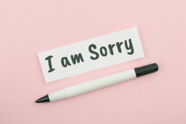 Kağıda yazı yazdığım için özür dilerim.