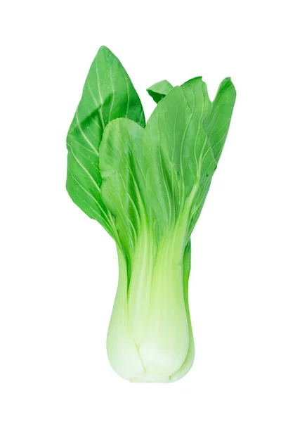 Bok Choy Chinese Kool Geïsoleerd Wit — Stockfoto