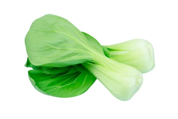 Bok Choy Chinese Cabbage Isolated White — Stock Photo, Image