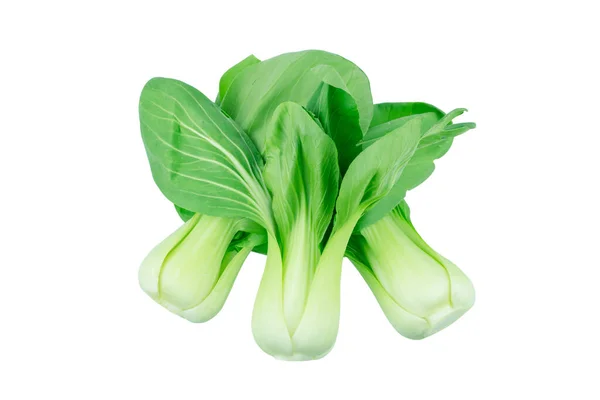 Bok Choy Chinese Kool Geïsoleerd Wit — Stockfoto