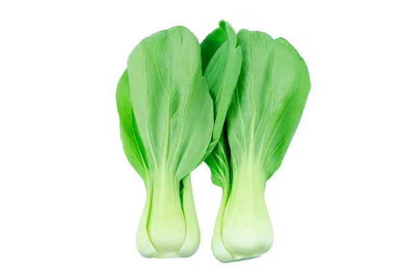 Bok Choy Chinese Kool Geïsoleerd Wit — Stockfoto