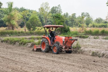 Taylandlı çiftçiler toprağı pirinç yetiştirmek için traktör kullanıyorlar..