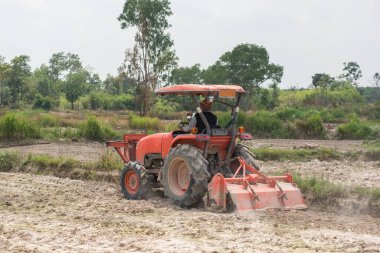 Taylandlı çiftçiler toprağı pirinç yetiştirmek için traktör kullanıyorlar..