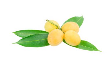 tatlı Marian eriği thai meyvesi beyaz zemin üzerinde izole (Mayongchid Maprang Marian Plum ve Plum Mango, Tayland)