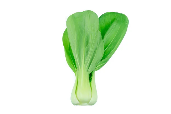 Bok Choy Kínai Kel Elszigetelt Fehér — Stock Fotó