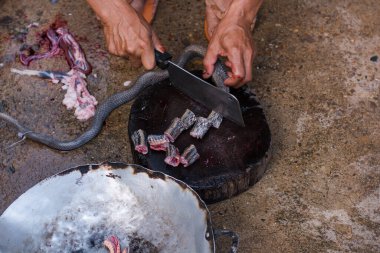 Dilimlenmiş, egzotik bir menü. Açık mutfak tabağında yılan var.